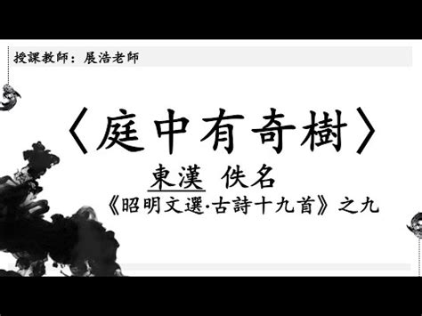 庭中有奇樹講義|web 古體詩選課程講義